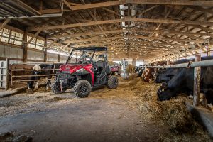 polaris ranger in cow shed